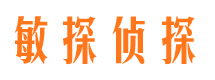 蒲城侦探公司